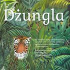 “Dżungla” w holu MDK