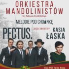 „Melodie pod choinkę” – Zgorzelecka Orkiestra Mandolinistów|Kasia Łaska|PECTUS