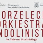 „Melodie pod choinkę” – Zgorzelecka Orkiestra Mandolinistów|Kasia Łaska|PECTUS